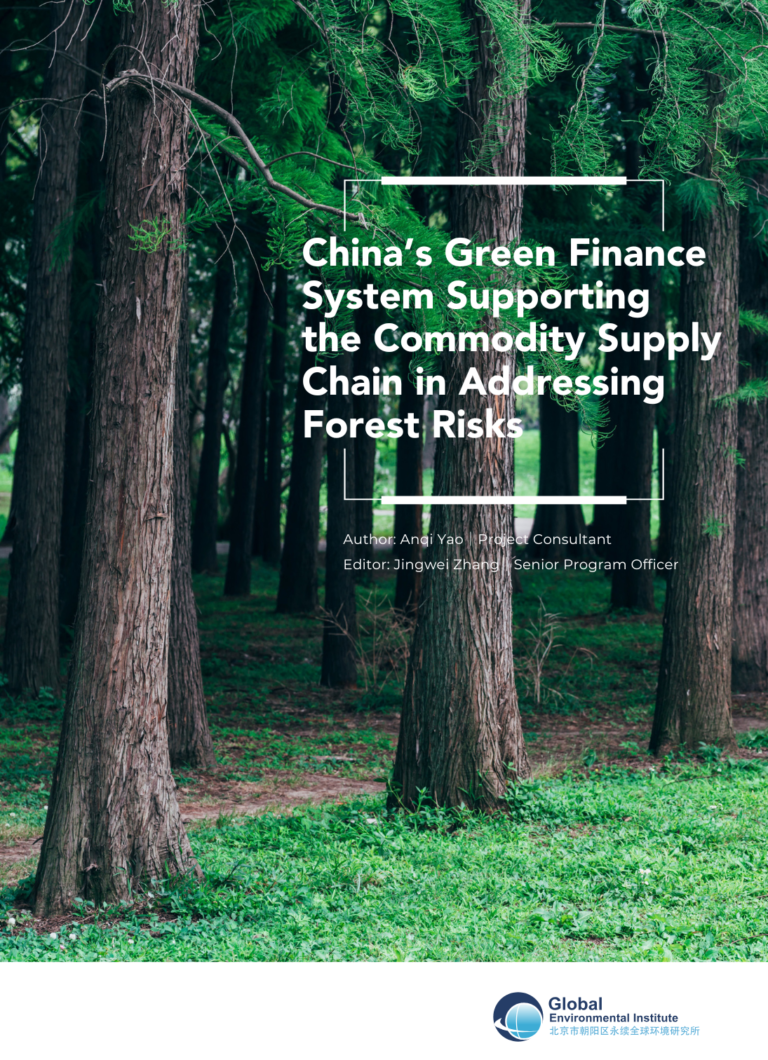 Report Release: China’s Green Finance System Supporting the Commodity Supply Chain in Addressing Forest Risks